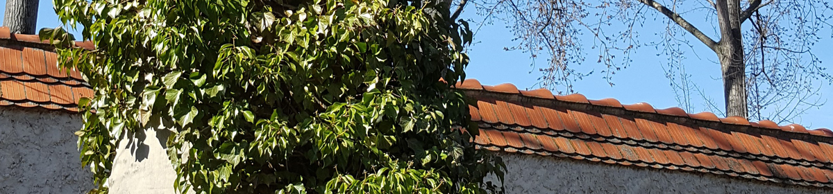 mitte-online.de