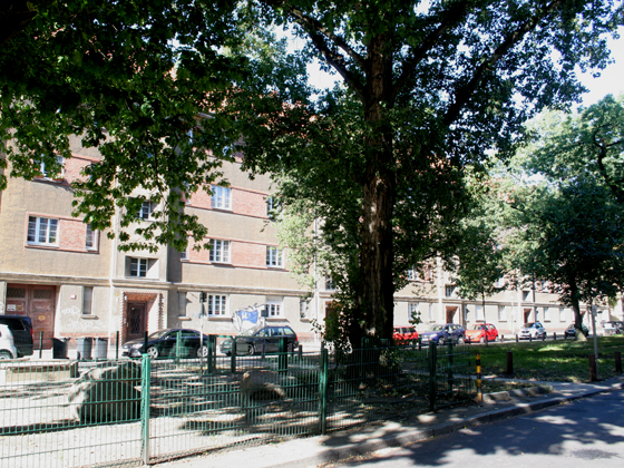 Togostraße Bepflanzung