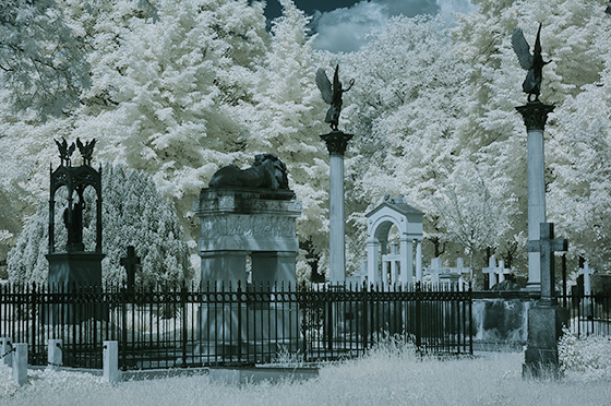 Farbinfrarotfoto Invalidenfriedhof