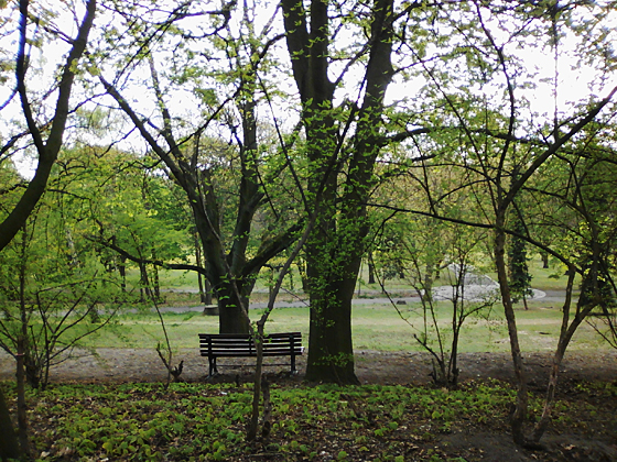 Volkspark Rehberge im Frühling